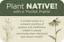 Load image into Gallery viewer, Pocket Prairie Kit