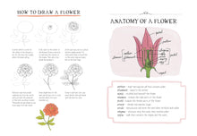 Load image into Gallery viewer, Nature Anatomy Notebook