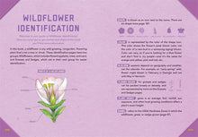 Load image into Gallery viewer, Outdoor School:  Tree, Wildflower, and Mushroom Spotting