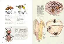 Load image into Gallery viewer, Insect Anatomy