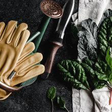 Load image into Gallery viewer, Hori Hori Gardening Knife