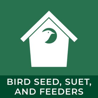 Bird Seed, Suet, and Feeders