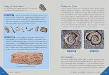 Load image into Gallery viewer, Outdoor School: Rock, Fossil, and Shell Hunting