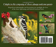 Load image into Gallery viewer, Backyard Birds