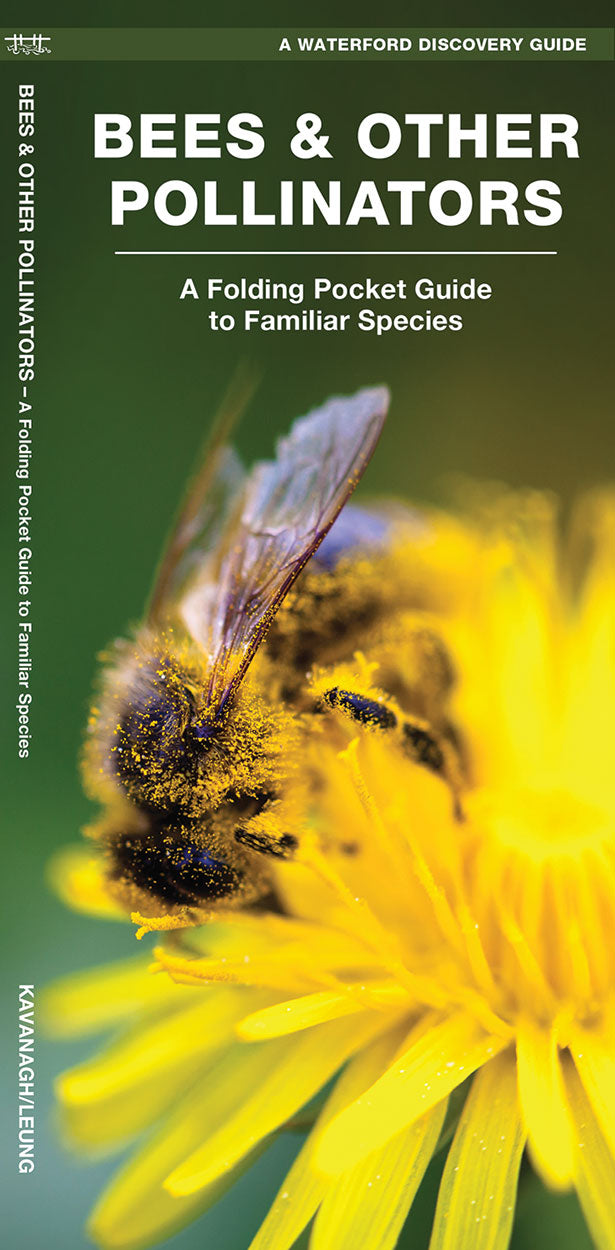 Bees & Other Pollinators Field Guide