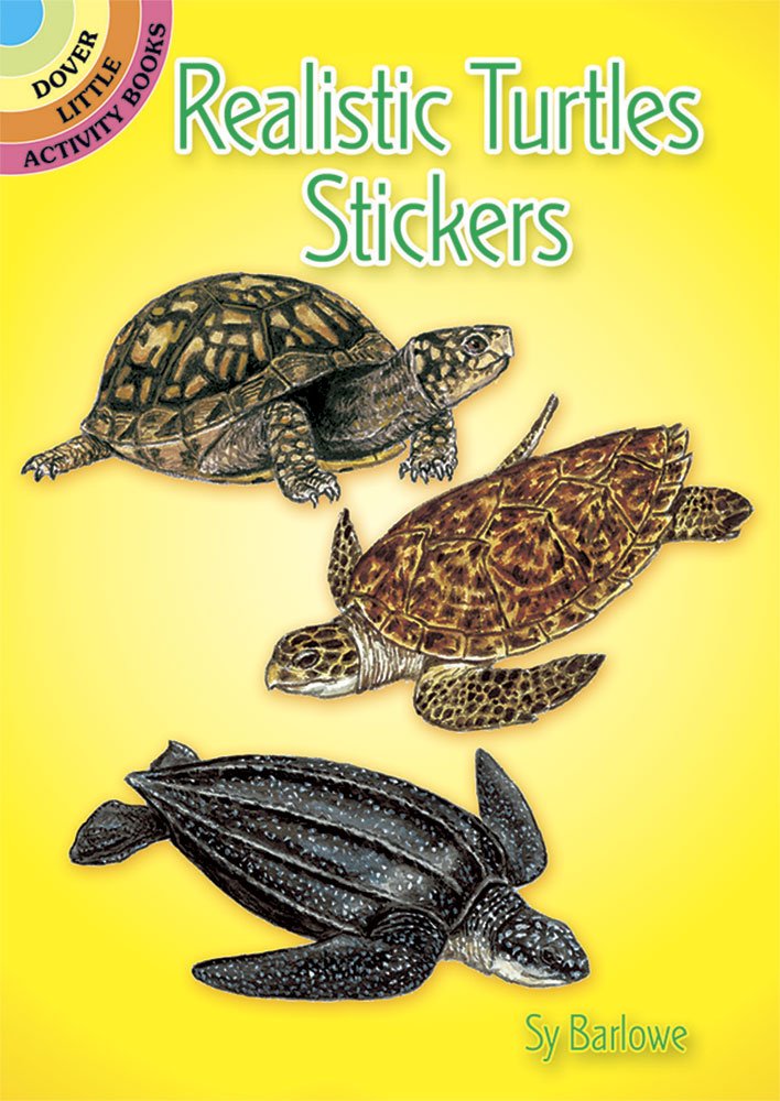 Realistic Turtle Stickers