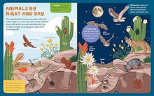 Load image into Gallery viewer, Backpack Explorer: Night Walk
