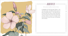 Load image into Gallery viewer, Cattail Moonshine &amp; Milkweed Medicine
