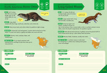 Load image into Gallery viewer, Outdoor School:  Animal Watching

