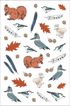 Load image into Gallery viewer, Nature Anatomy Stickerbook
