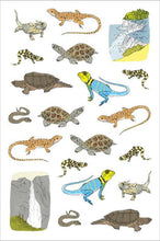 Load image into Gallery viewer, Nature Anatomy Stickerbook
