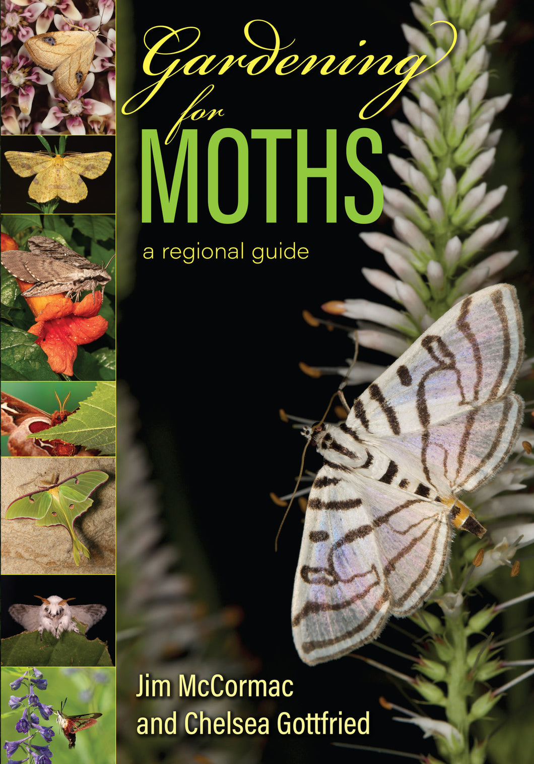 Gardening for Moths: A Regional Guide
