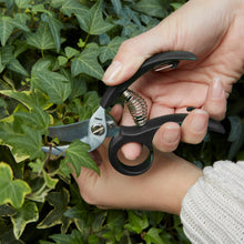 Load image into Gallery viewer, Garden Shears
