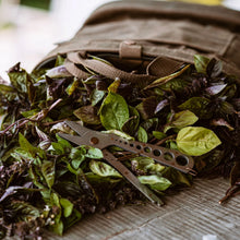 Load image into Gallery viewer, Herb Harvest &amp; Snip Tool

