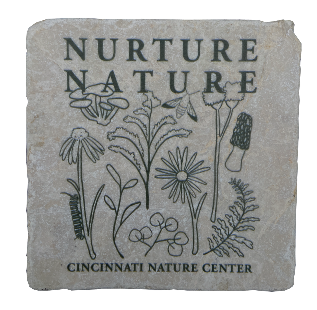 Nurture Nature Coaster