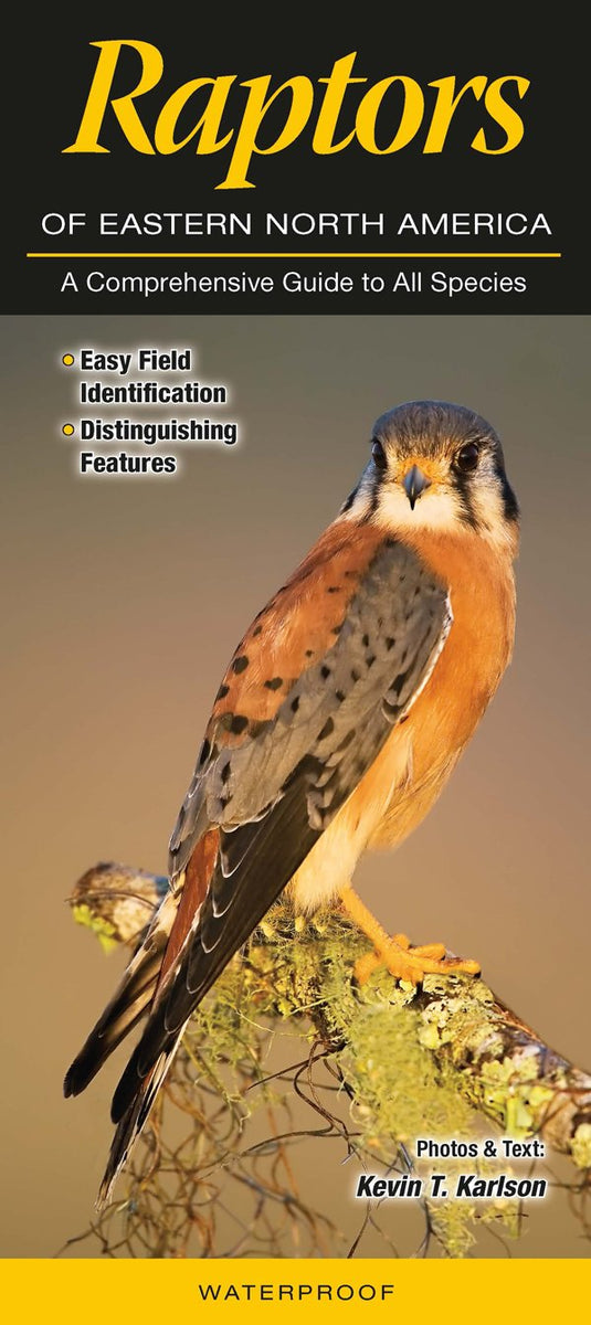 American Raptor Raptors of Eastern North America Field Guide – Cincinnati Nature Center ...