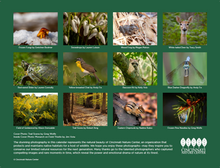 Load image into Gallery viewer, Cincinnati Nature Center 2024 Calendar
