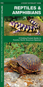 Reptiles & Amphibians Field Guide