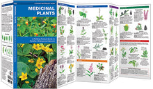 Load image into Gallery viewer, Medicinal Plants Field Guide
