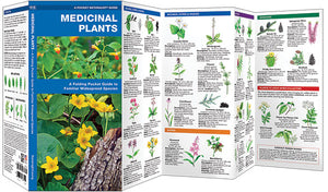 Medicinal Plants Field Guide