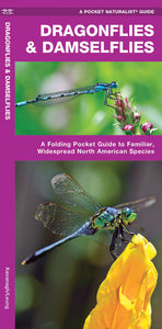 Dragonflies & Damselflies Field Guide