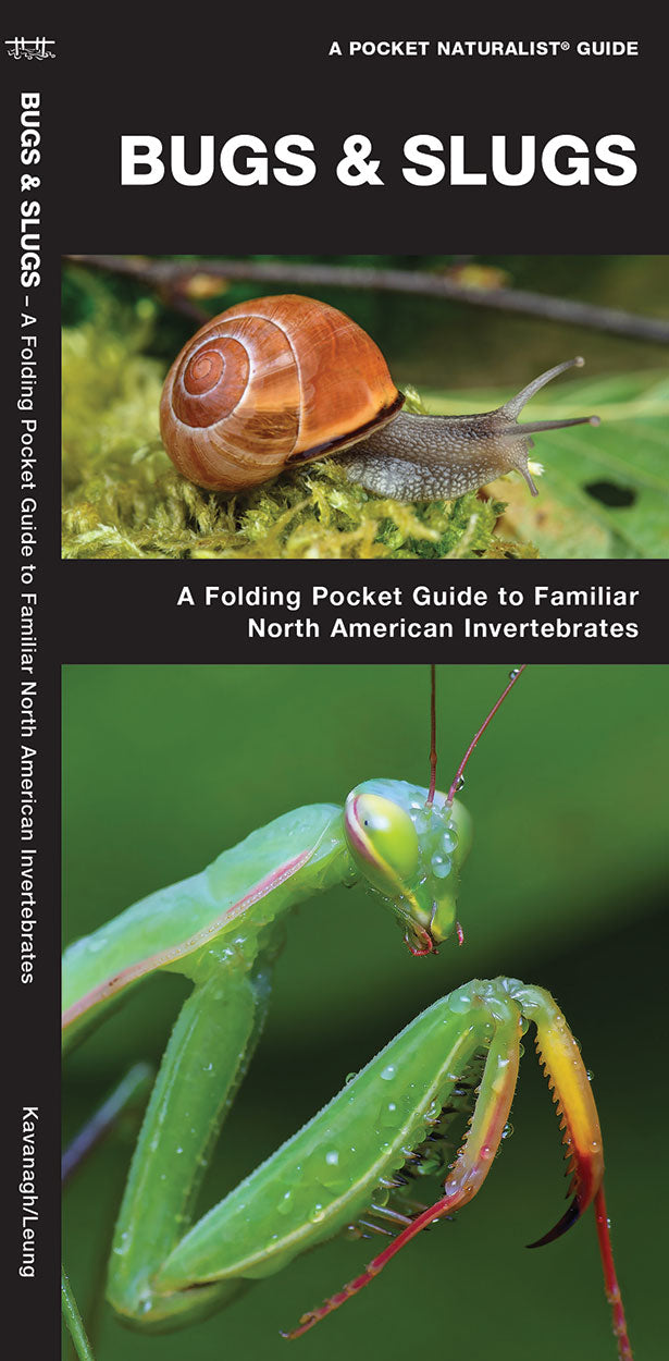 Bugs & Slugs Field Guide