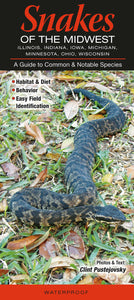 Snakes of the Midwest Field Guide