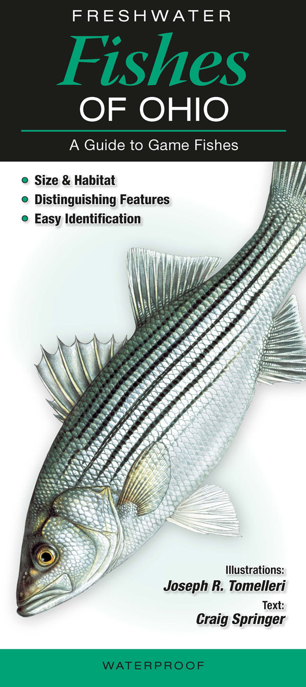 Ohio Fish Identification Guide
