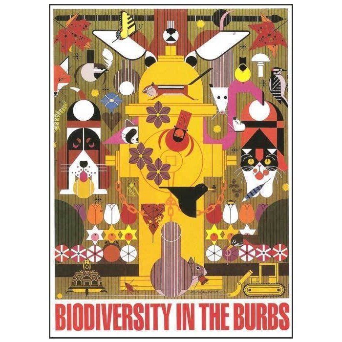 Charley Harper - Biodiversity in the Burbs Notecard