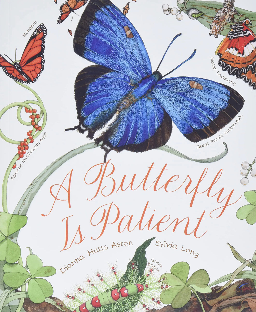 A Butterfly is Patient
