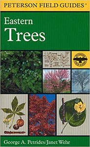 Field Guide to Eastern Trees