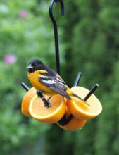 Load image into Gallery viewer, 3-Prong Fruit Feeder
