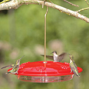 Hummingbird Feeder - 16oz.