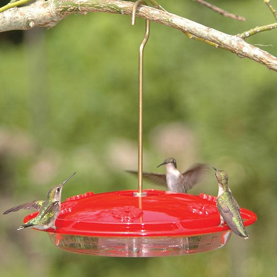 Hummingbird Feeder - 16oz. – Cincinnati Nature Center - The Nature