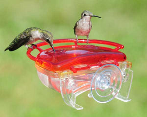 Hummingbird Feeder - 4oz. Window Feeder