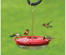 Load image into Gallery viewer, Hummingbird Feeder - 12 oz.
