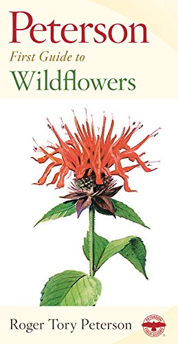 First Guide to Wildflowers
