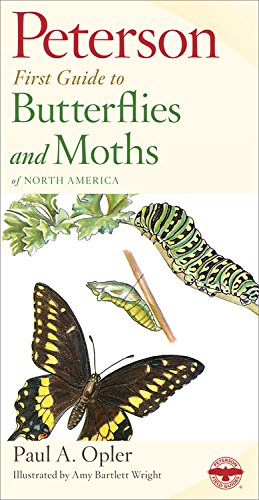 First Guide to Butterflies and Moths of North America