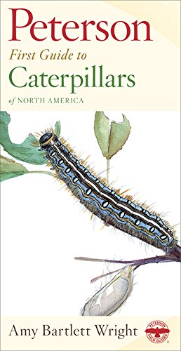 First Guide to Caterpillars of North America
