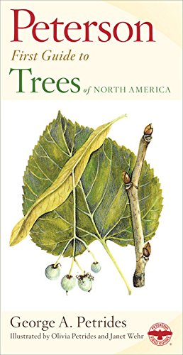 First Guide to Trees of North America