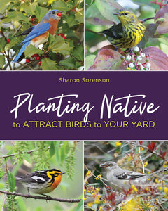 Planting Native to Attract Birds in Your Yard