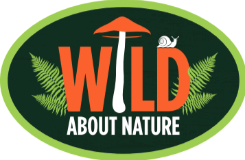 Wild About Nature Sticker