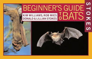 Beginners Guide to Bats