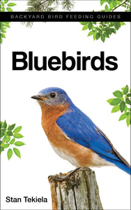 Bluebirds -  Backyard Feeding Guide