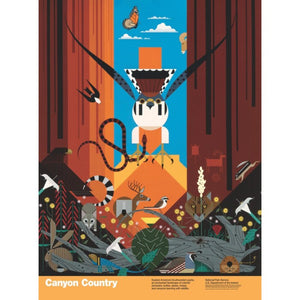 Canyon Country - Framed Poster
