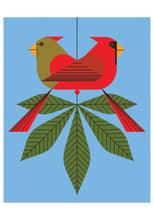 Load image into Gallery viewer, Cardinals - Boxed Notecards
