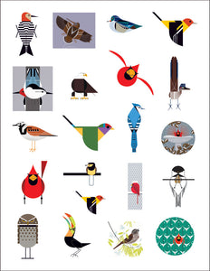 Birds - Sticker Book