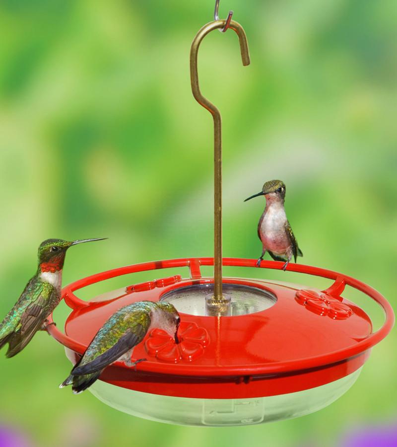 Hummingbird Feeder - 8oz.