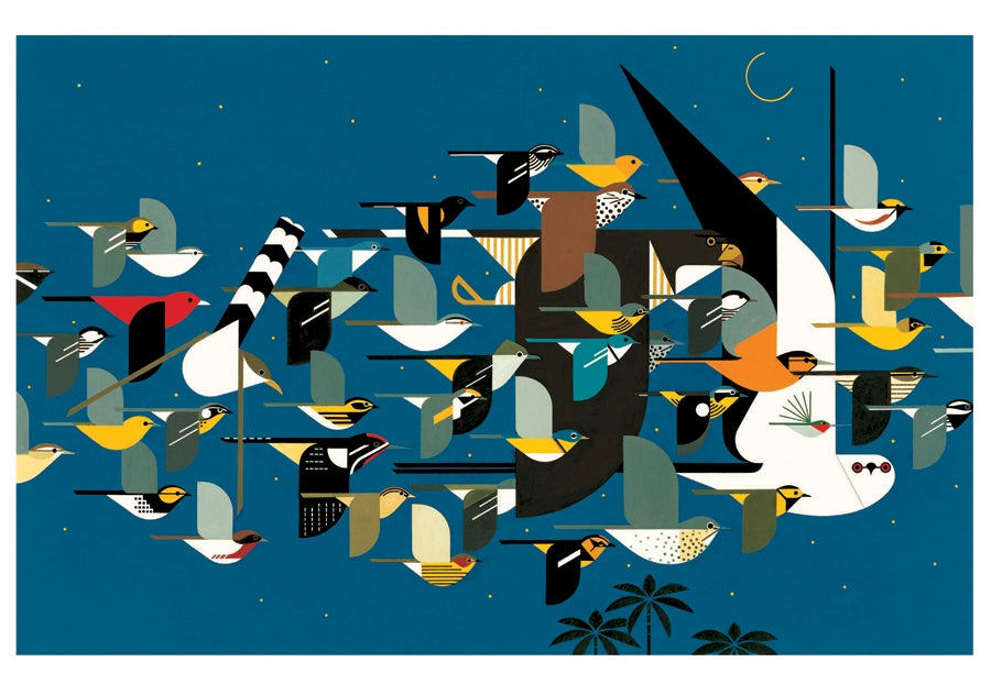 Charley Harper - Mystery of the Missing Migrants - Notecard