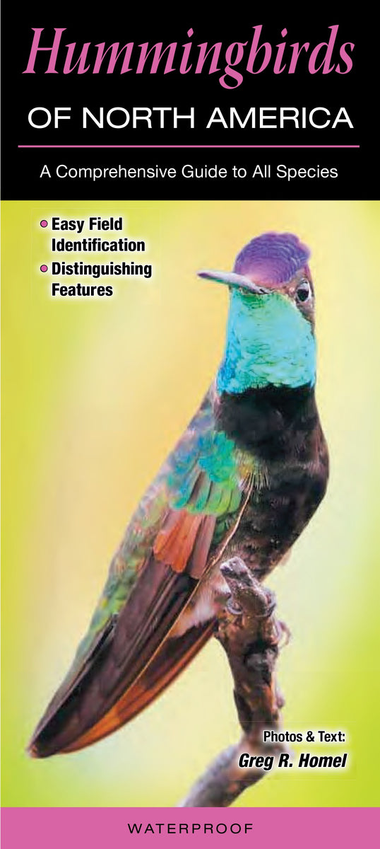 Hummingbird Field Guide Hummingbirds of NA Field Guide – Cincinnati Nature Center - The Nature Shop